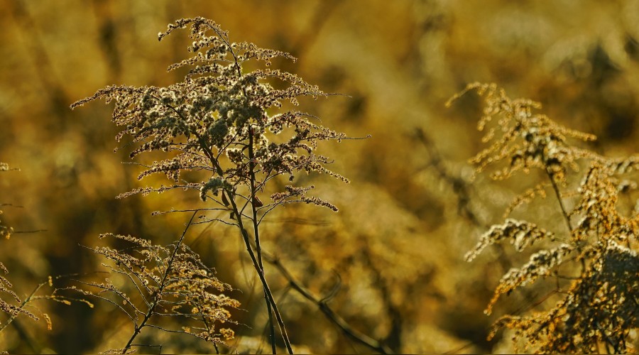 �Allah'� Allah ile tan�y�n�z�