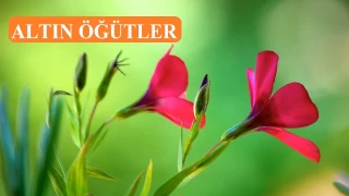 Allah’ın rahmetinden bahsedilince kendine gelirdi
