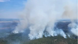 Almanya’da orman yangını nedeniyle yaklaşık 2 bin kişi tahliye ediliyor