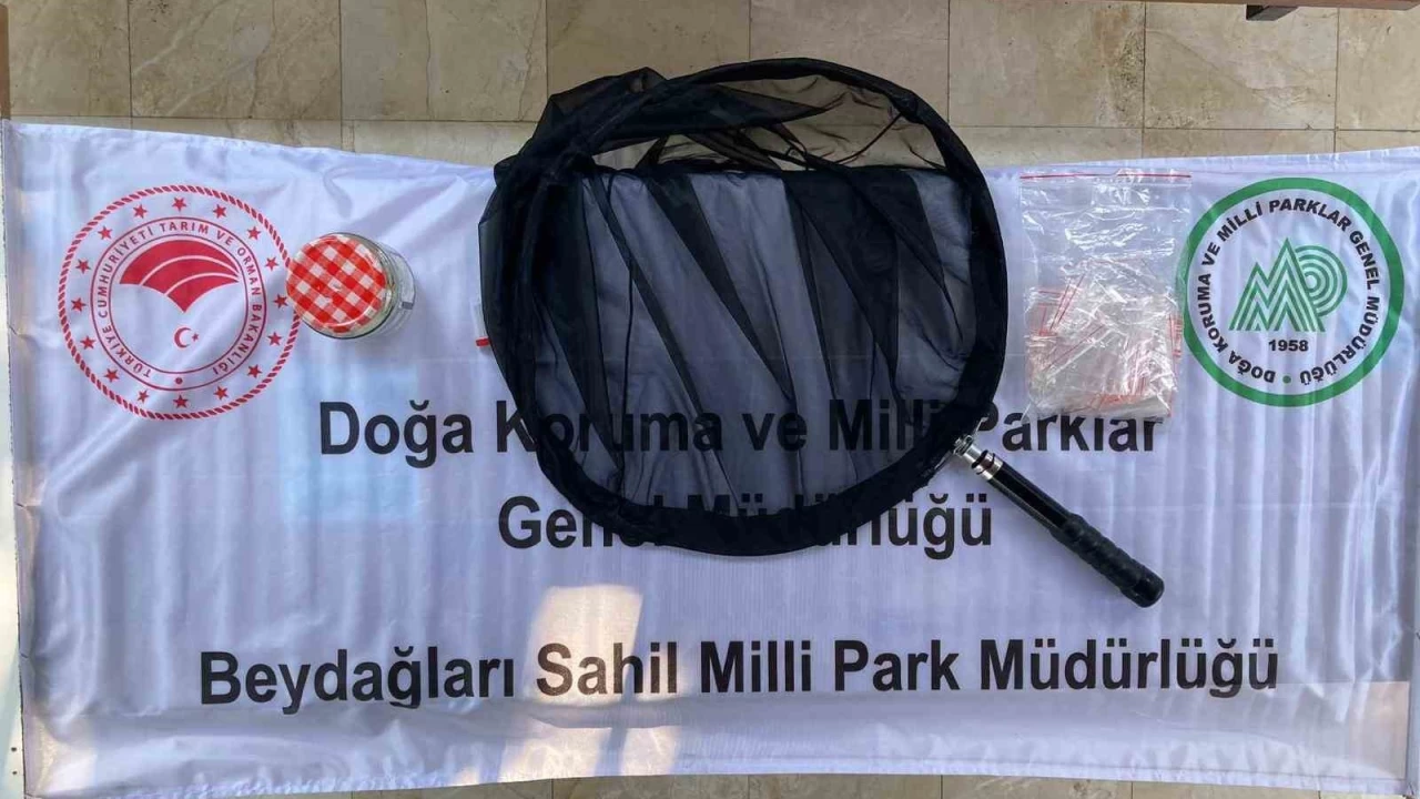 Antalya'da Rus akademisyene 378 bin 141 lira para cezası