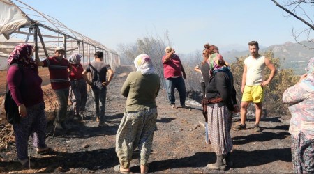 Antalya'da seralar ve zeytin ağaçları küle döndü