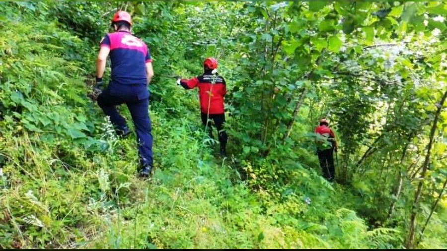 Aracından 5 metre uzaklıktaki asılı halde bulundu