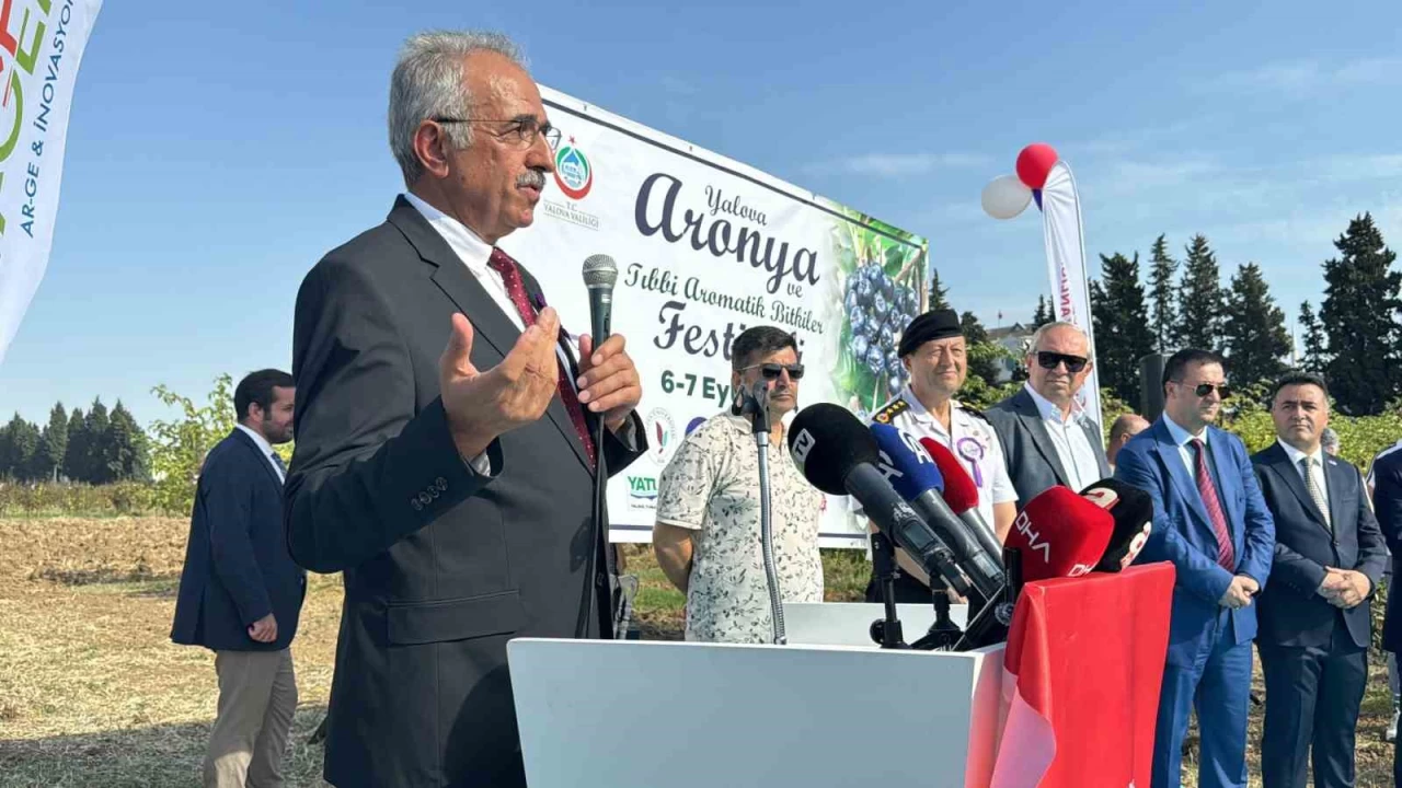 Aronya Festivali renkli görüntülerle başladı