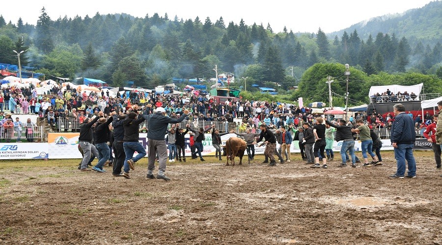 Artvin'de Kafkas�r Heyecan� Ba�lad�
