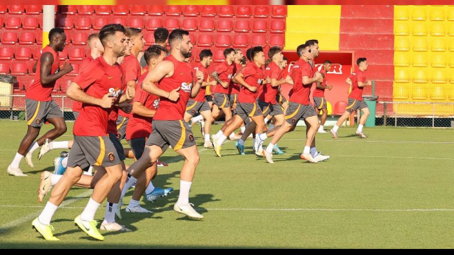 Aslan Avusturya yolcusu