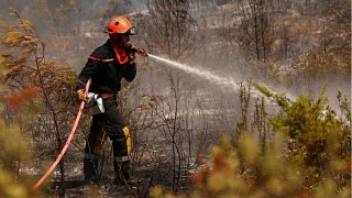 Avrupa'da orman yang�nlar� devam ediyor: Fransa'da iki, �talya'da bir itfaiyeci �ld�