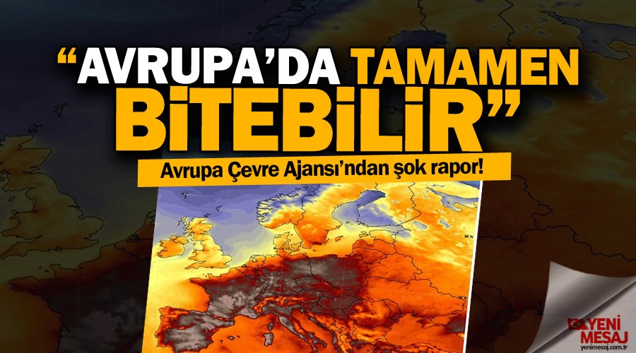 Avrupada tarm tamamen bitebilir!