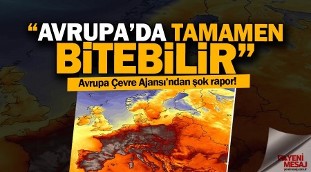 Avrupada tarm tamamen bitebilir!
