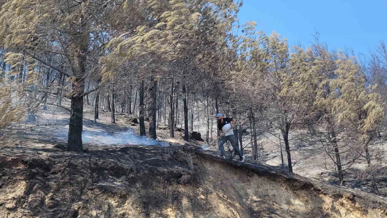 Ayd�n Bozdo�an'da ye�il siyaha d�nd�