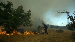 Aydın'da zeytinlik ve ormanlık alanda çıkan yangın söndürülemedi