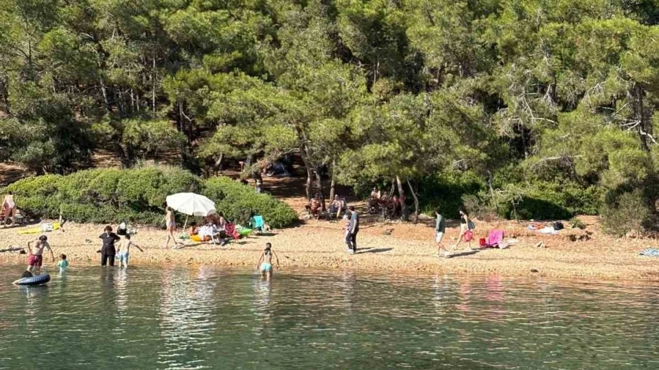Ayvalık'ta ormanlara giriş yasak ama denetim yetersiz