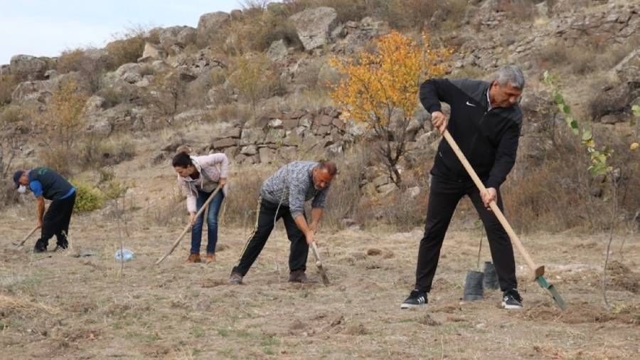 Babasının vasiyeti ile yola çıktı, boş arazilere meyve fidanı dikiyor
