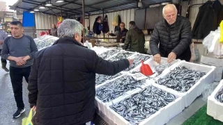 Balık fiyatları düşünce, yoğun ilgi başladı