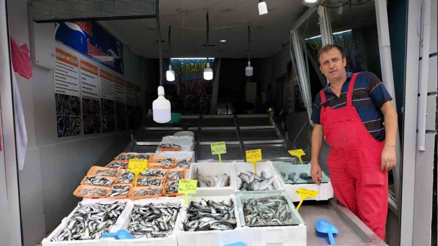 Balk tezgahlar enlendi