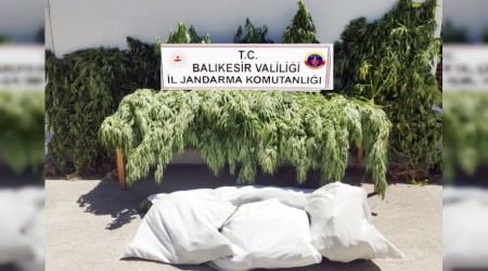 Balıkesir'de 23 kilo esrar ele geçirildi