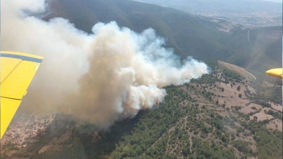 Balıkesir'de orman yangını kontrol altında