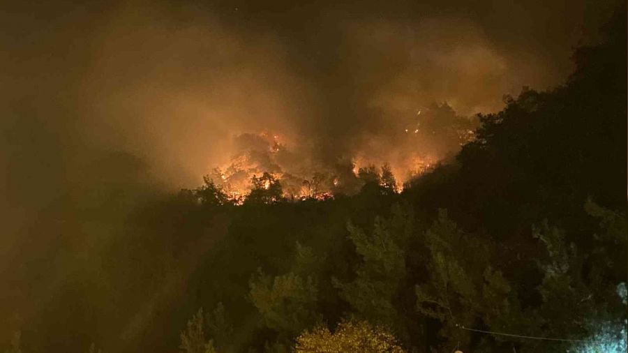 Bartın'da şüpheli orman yangını, 4 gözaltı
