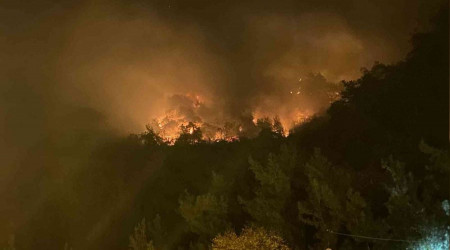 Bartın'da şüpheli orman yangını, 4 gözaltı