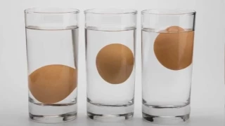 Bayat yumurta nasıl anlaşılır?