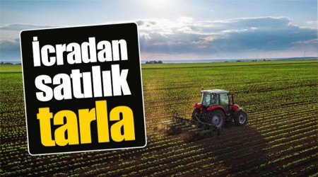 Bilecik Merkez'de satlk tarla