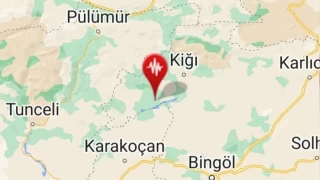Bingl'de korkutan deprem