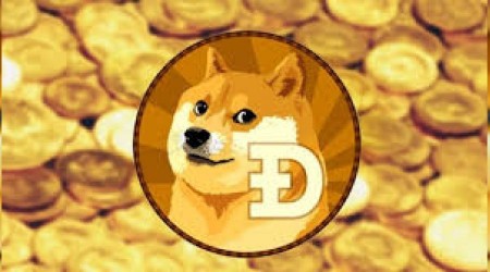 Böylesi görülmedi... Dogecoin yüzde 812 değerlendi