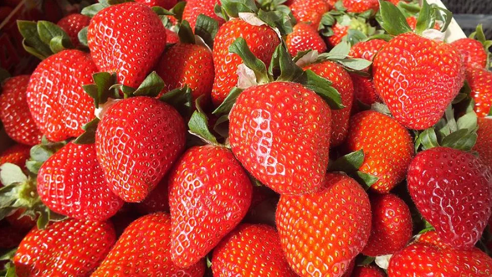 Bu Doğal Besinler Dişlerinizi Bembeyaz Yapıyor