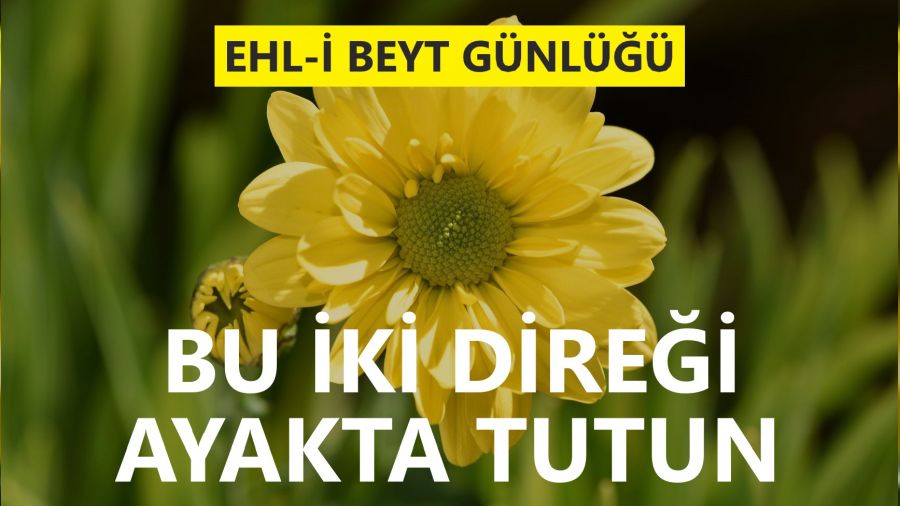 ‘Bu iki direği ayakta tutun’