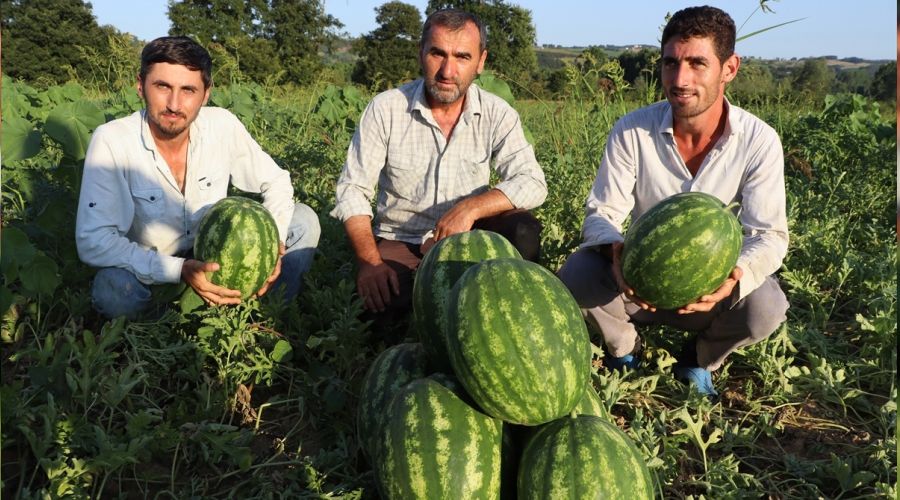 Bu karpuzun tadı başka!