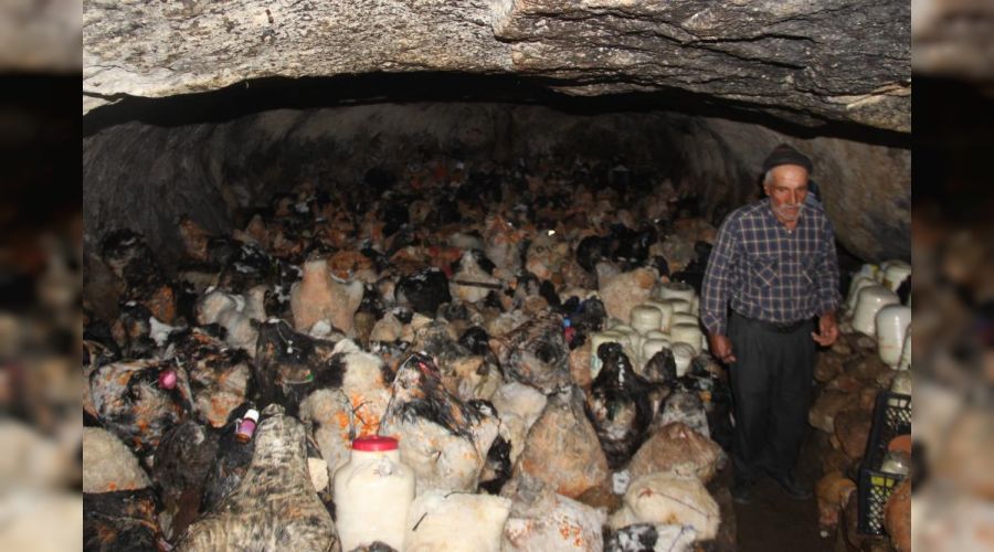Bu peynirlerin tadına doyum olmuyor