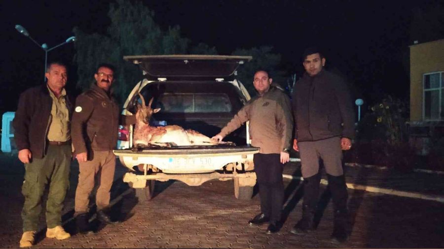 Bu pozun bedeli 256 bin lira