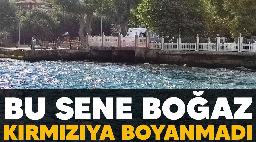 Bu sene Boaz krmzya boyanmad