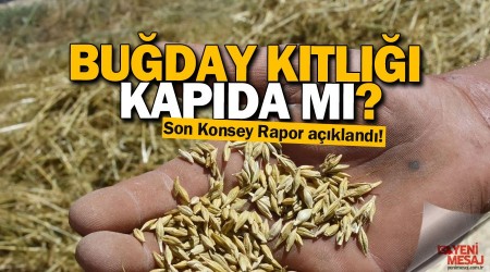 Buğday kıtlığı kapıda mı?