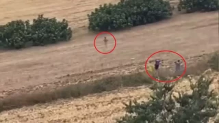 Bursa'da polis tarlada şüpheli kovaladı
