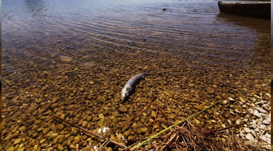 B�y�k Menderes Nehri'nde kuruma tehlikesi