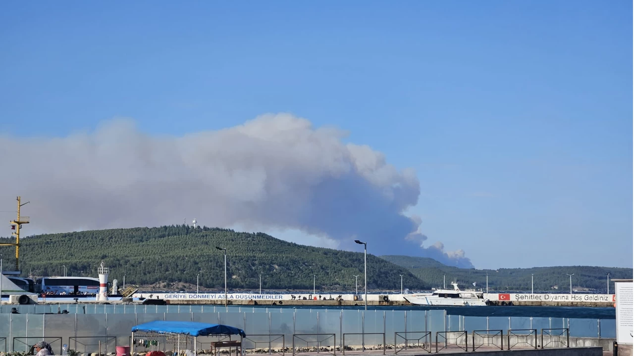 �anakkale Gelibolu'da ormanl�k alanda ��kan yang�na m�dahale ediliyor