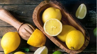 CHP Ni�de Milletvekili �mer Fethi G�rer, �Narenciye �lkesinde Limon �thal Ediyoruz, Bu Politika De�il Plans�zl�kt�r� dedi