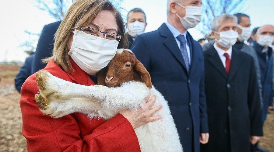 ��ft�ilere y�nelik k���kba� hayvan deste�i ba�lad�