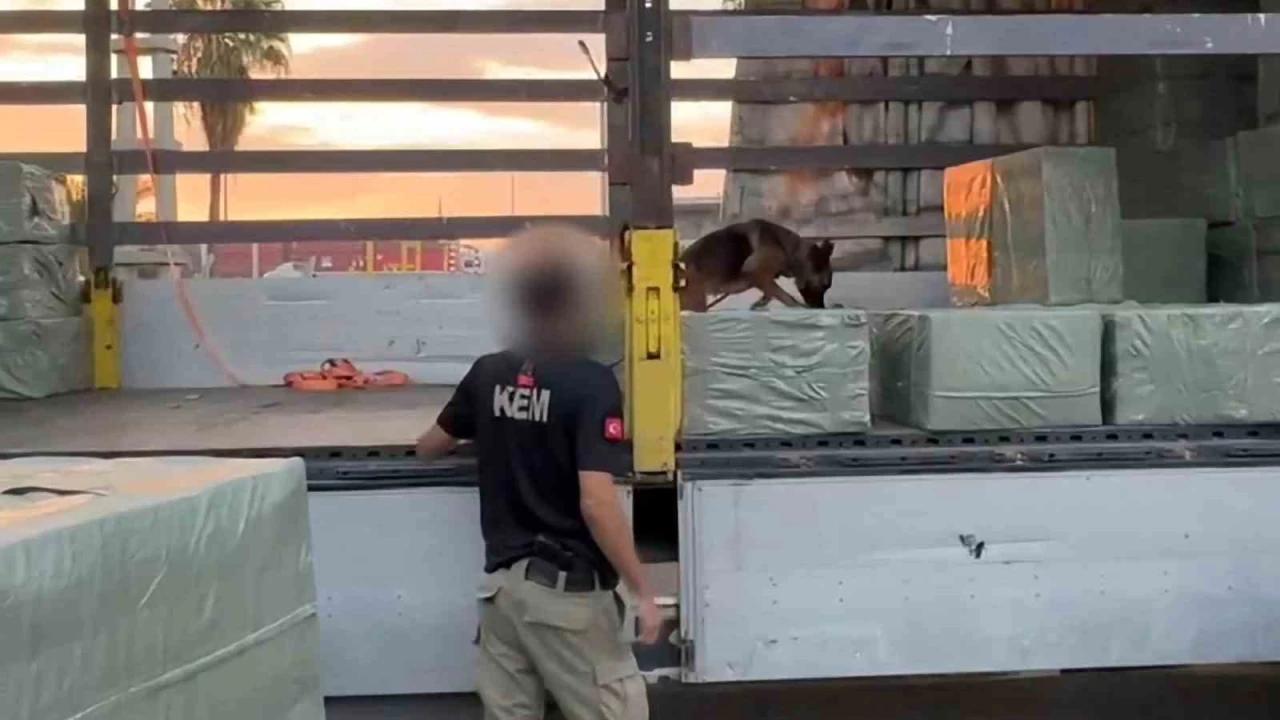 Çin'den Suriye'ye giden 15 ton kaçak sigara kağıdı ele geçirildi
