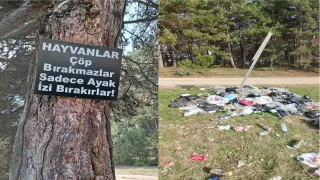Çöp bırakmayı tercih etmişler