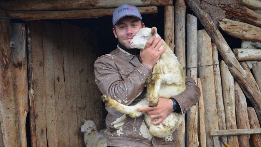 �orum'da a� kurtlar 24 k���kba� hayvan� telef etti