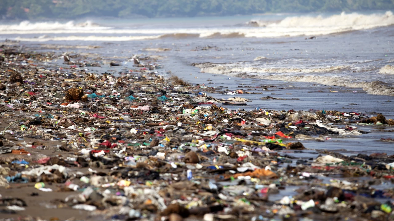 Denizler ve kıyılarımızdaki plastik tehlikesi