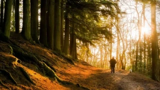 Do�a y�r�y��lerinin sa�l�k �zerindeki �a��rt�c� etkileri