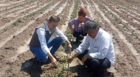 Dolu yağışında arazisi etkilenen çiftçiler hasar tespiti başvurusu yapabilecek