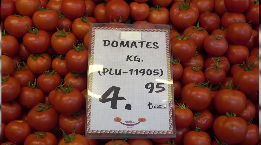 Domates üreticileri dertli