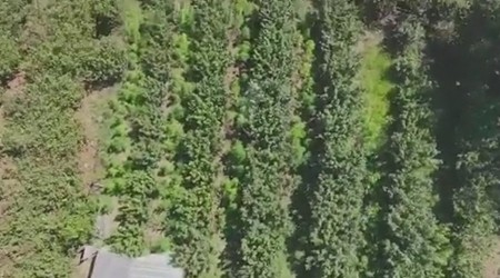 Drone ile uyuşturucu operasyonu