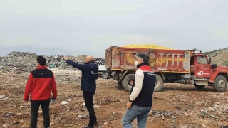 Dubai'ye ihraç edilecek 71 ton limon imha edildi