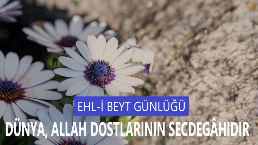 Dünya, Allah dostlarının secdegâhıdır