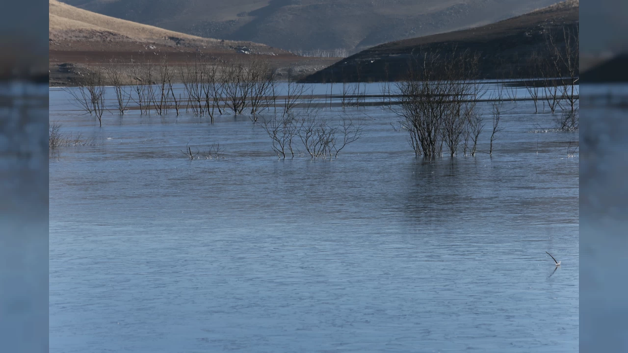 Erzurum, Ardahan ile Kars'ta soğuk hava etkili oluyor