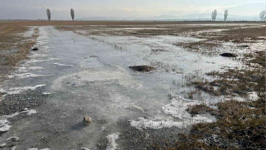 Erzurum'da hava sıcaklığı eksi 5'e düştü